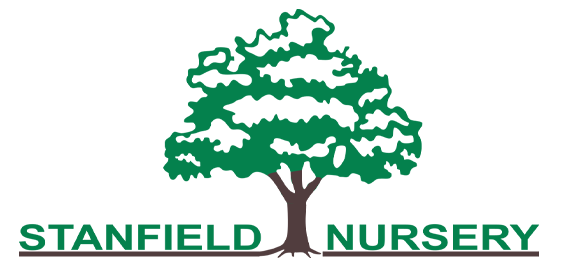 Stanfield's Nursery